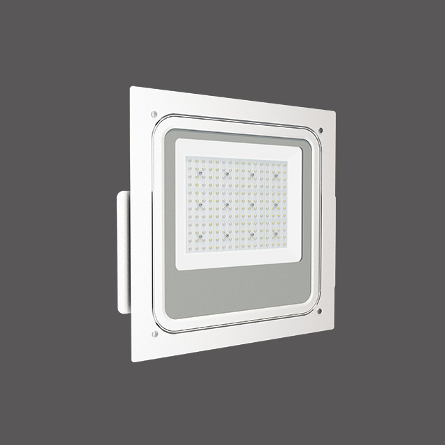 Primo Recessed Mounted Canopy Light